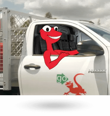 gecko car